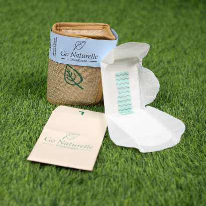 Anion Napkin Monthly Pack Plus L Size