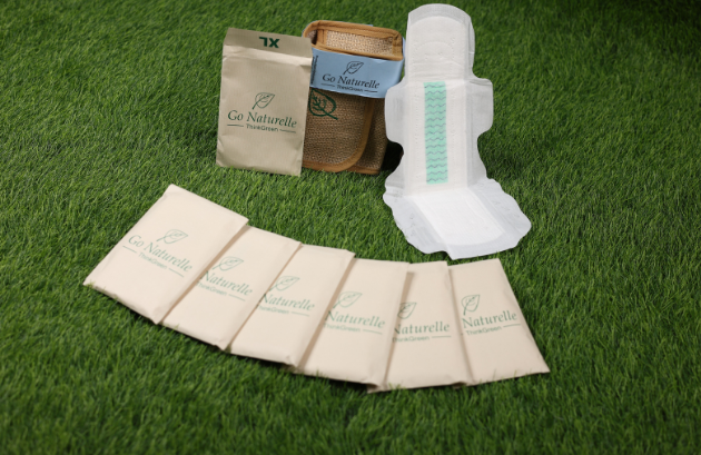 Secure Maxi Plus Sanitary Napkins